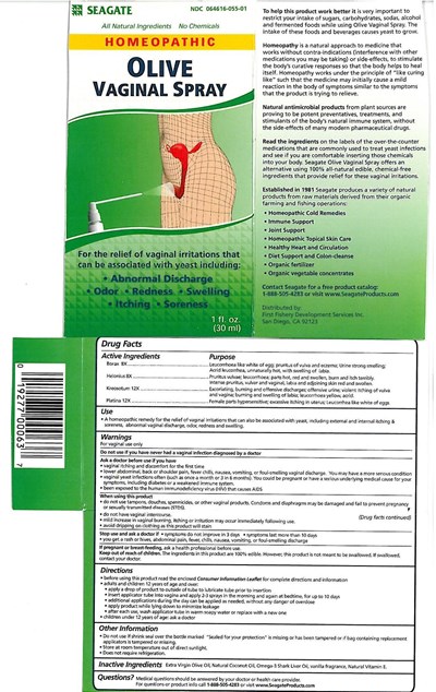 Carton (Vaginal Spray Full Image Carton)